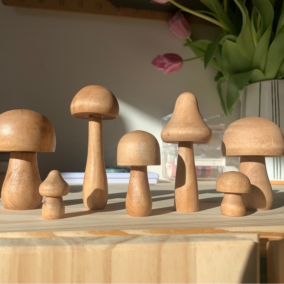 Wooden Mushroom Set - Picture 1 of 5